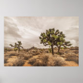 Storm nadert bij Joshua Tree Poster (Voorkant)