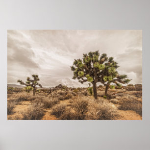 Storm nadert bij Joshua Tree Poster