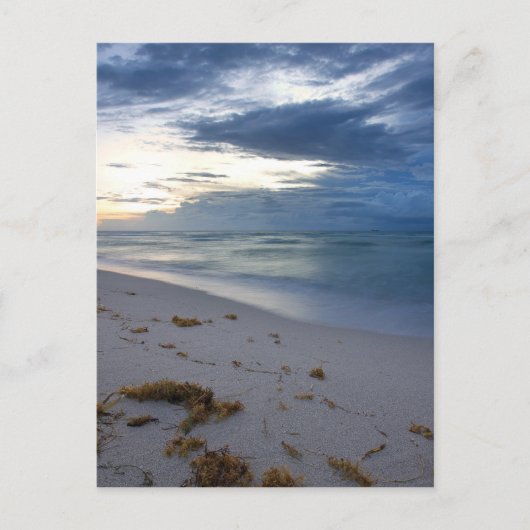 Storm nadert Miami Beach Briefkaart (Voorkant)