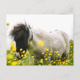 Storm op een briefkaart