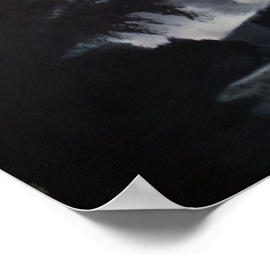 "storm op het meer" 16x20 canvasafdruk poster (Hoek)