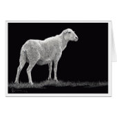 Storm Sheep (Voorkant Horizontaal)