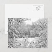Storm sneeuw briefkaart (Voorkant / Achterkant)