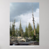 Storm Spire Poster (Voorkant)