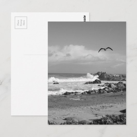 Storm van Pacific Grove in zwart-wit Briefkaart (Voorkant / Achterkant)
