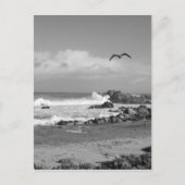 Storm van Pacific Grove in zwart-wit Briefkaart (Voorkant)