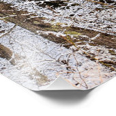 Storm Winter Ice in het bos Foto Afdruk (Hoek)