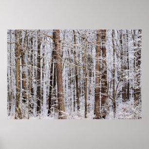 Storm Winter Ice in het bos Poster