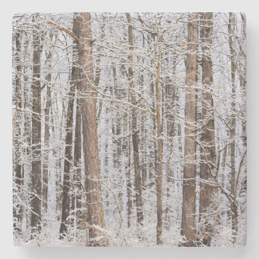 Storm Winter Ice in het bos Stenen Onderzetter (Voorkant)