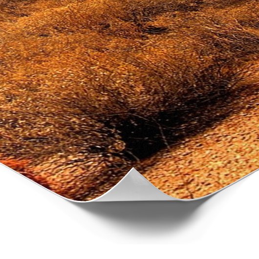 Storm woestijn poster (Hoek)