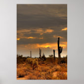 Storm woestijn poster (Voorkant)