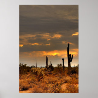 Storm woestijn poster