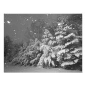 Storm zwarte en witte Evergreen Tree Snow Foto Afdruk (Voorkant)