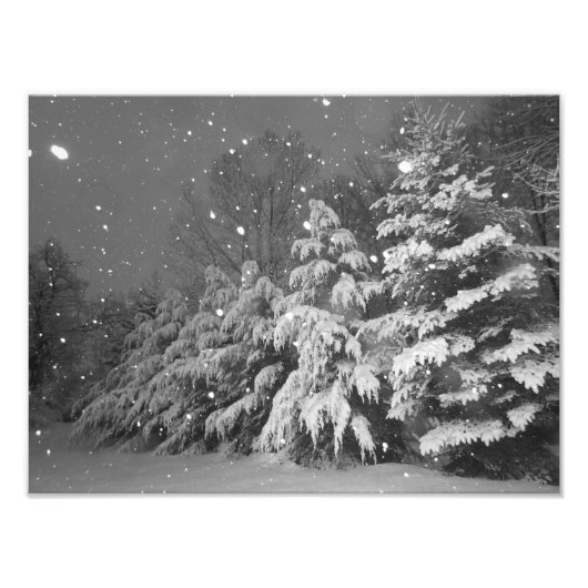 Storm zwarte en witte Evergreen Tree Snow Foto Afdruk (Voorkant)