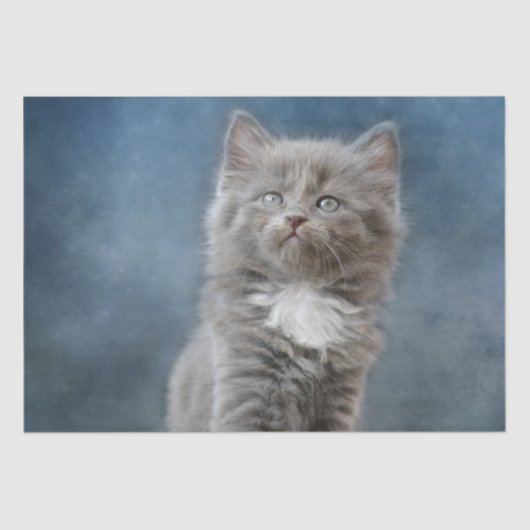 stormachinepapier tissuepapier (Voorkant)