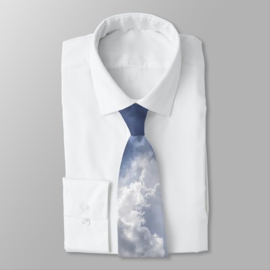 stormachtig stropdas (Gebonden)