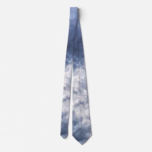 stormachtig stropdas (Achterkant)