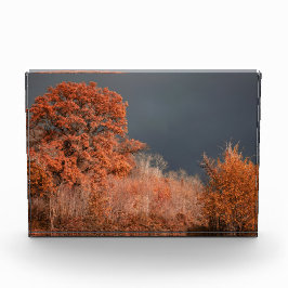 Stormachtige herfst fotoblokken