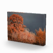 Stormachtige herfst fotoblokken (Rechts)