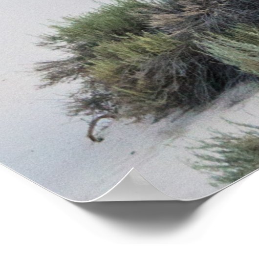 Stormen boven wit zand poster (Hoek)