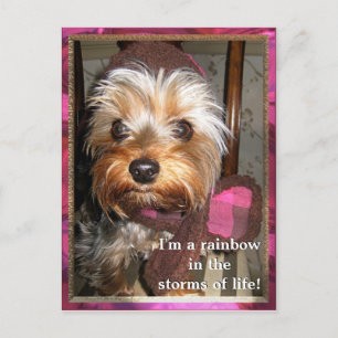 Stormen van het Briefkaart van Life