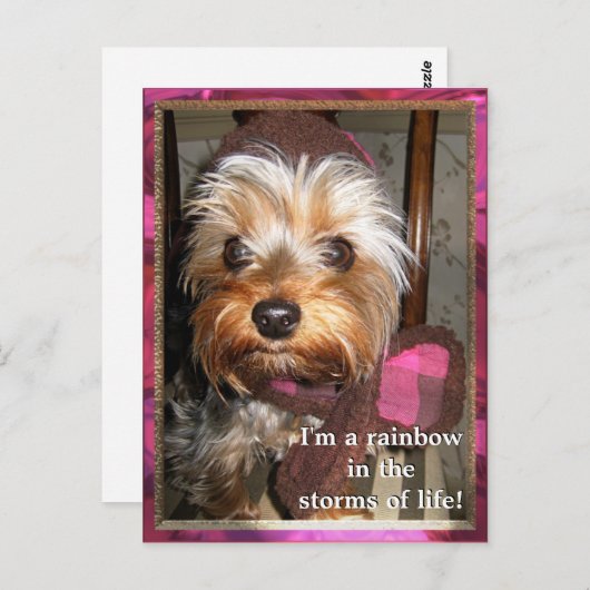 Stormen van het Briefkaart van Life (Voorkant / Achterkant)