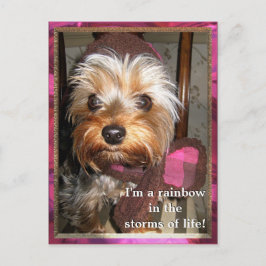 Stormen van het Briefkaart van Life