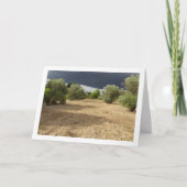 Stormen wolk boven Canyon Orchard Landscape Kaart (Voorkant)