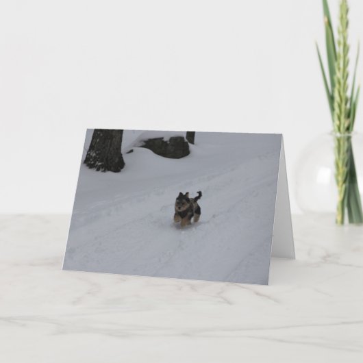 Stormend bepaalde GEPERSONALISEERDE puppykaart Feestdagen Kaart (Voorkant)