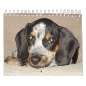 Stormi 2012 kalender (Hoes)