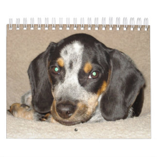 Stormi 2012 kalender