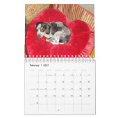 Stormi 2012 kalender (Feb 2027)