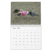 Stormi 2012 kalender (Mar 2027)