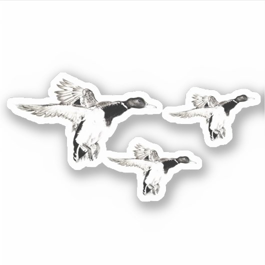 Stormo di germani reali sticker (Voorkant)