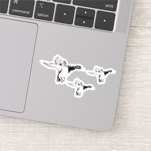 Stormo di germani reali sticker (Detail)