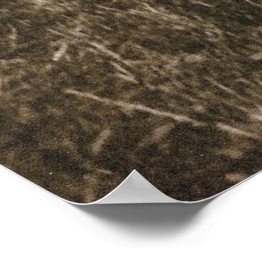 Stormtroopers Poster (Hoek)