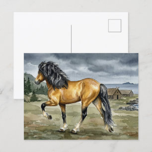Stormur IJslands paard bij de zee Briefkaart