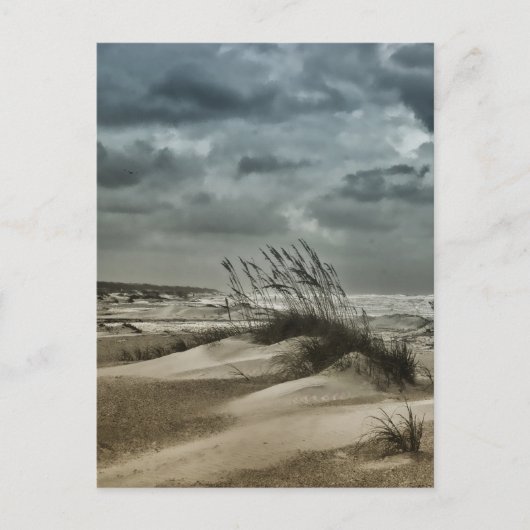 Stormy Anastasia Briefkaart (Voorkant)