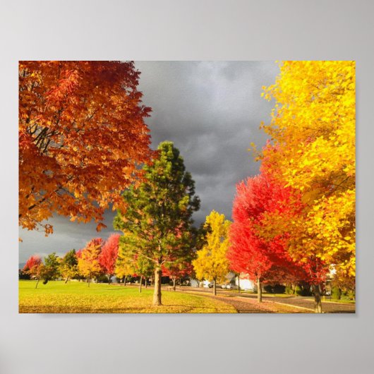 Stormy Autumn Day Print (Voorkant)