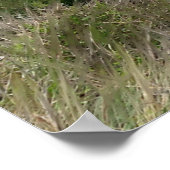 Stormy Beach scène Poster (Hoek)