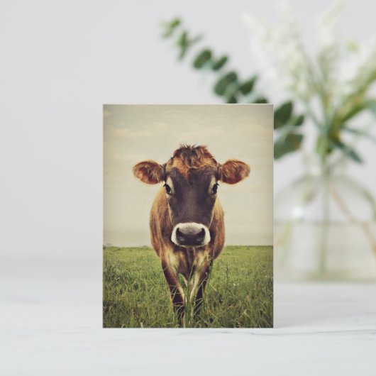 Stormy Briefkaart (Staand voorkant)