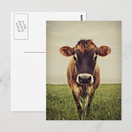 Stormy Briefkaart (Voorkant / Achterkant)