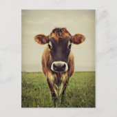 Stormy Briefkaart (Voorkant)