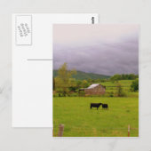 Stormy Day Briefkaart (Voorkant / Achterkant)