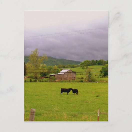 Stormy Day Briefkaart (Voorkant)