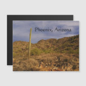 Stormy day in Phoenix (Voorkant / Achterkant)