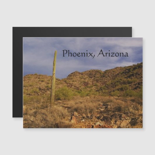 Stormy day in Phoenix (Voorkant / Achterkant)