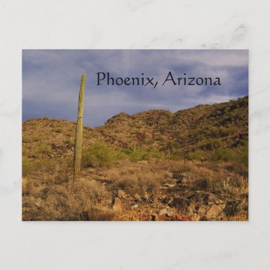 Stormy day in Phoenix Briefkaart (Voorkant)
