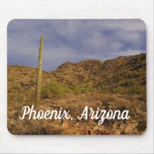 Stormy day in Phoenix Muismat
