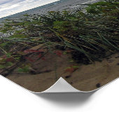 Stormy Day Poster (Hoek)